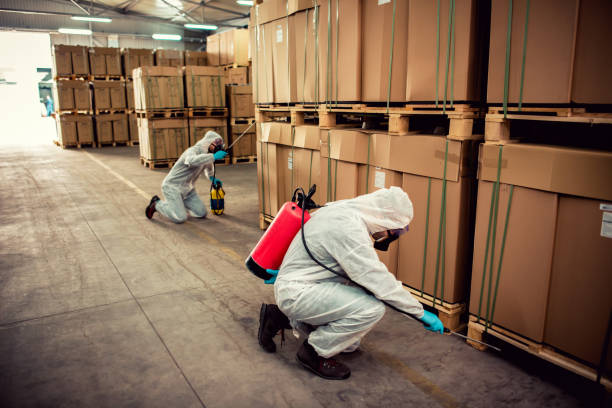 Best Rat Extermination Near Me  in Griggsvle, IL