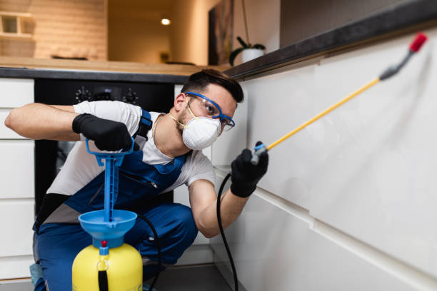 Best Best Pest Control Companies  in Griggsvle, IL