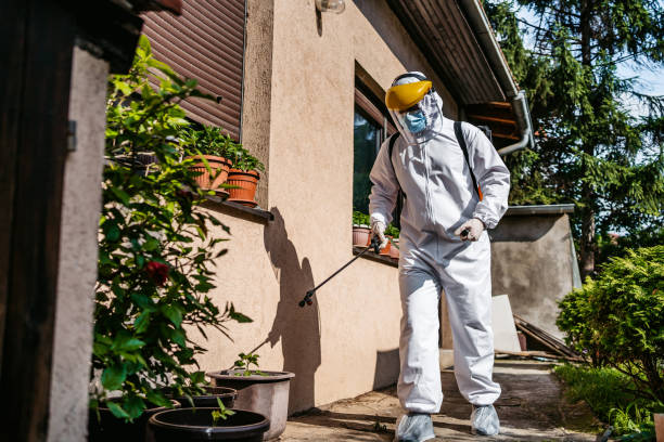 Best Pest Removal Services  in Griggsvle, IL