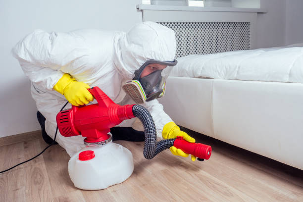 Best Bed Bug Extermination  in Griggsvle, IL