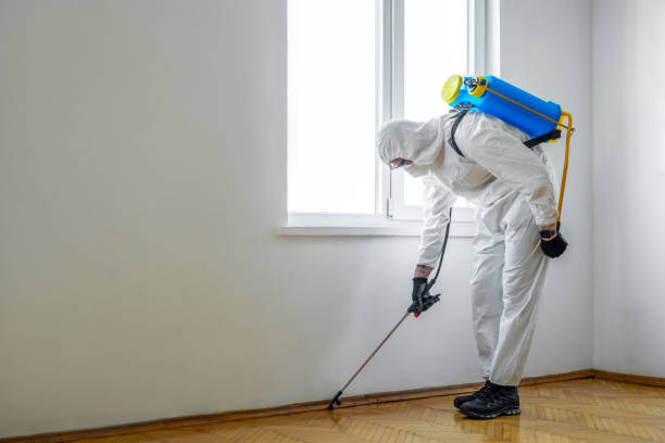 Best Residential Pest Control  in Griggsvle, IL