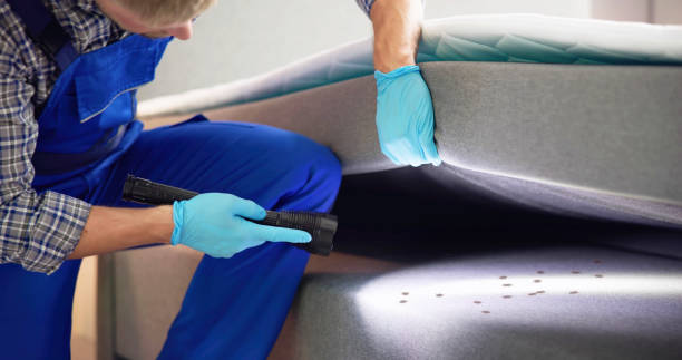 Best Affordable Pest Control Services  in Griggsvle, IL