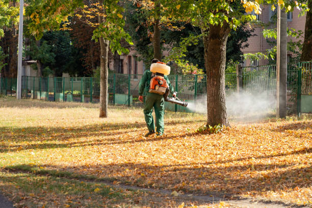 Pest Control for Restaurants in Griggsville, IL