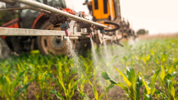 Reliable Griggsville, IL Pest Control Solutions